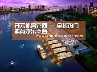 案例展示八