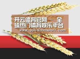 开云体育官网 - 全球热门体育娱乐平台