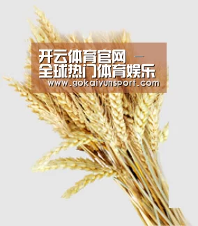 开云体育官网 - 全球热门体育娱乐平台