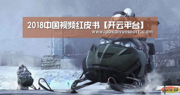2018中国视频红皮书【开云平台】(图2) 开云官网