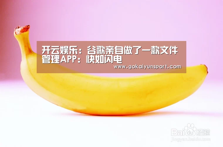 开云娱乐:谷歌亲自做了一款文件管理APP:快如闪电(图1) 开云体育