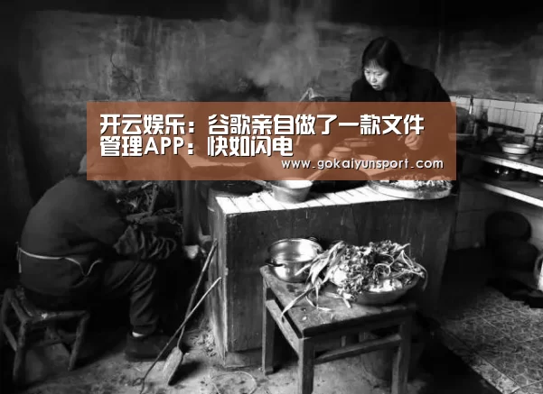开云娱乐:谷歌亲自做了一款文件管理APP:快如闪电(图3) 开云体育