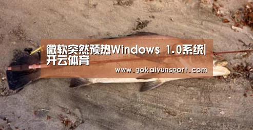 开云娱乐