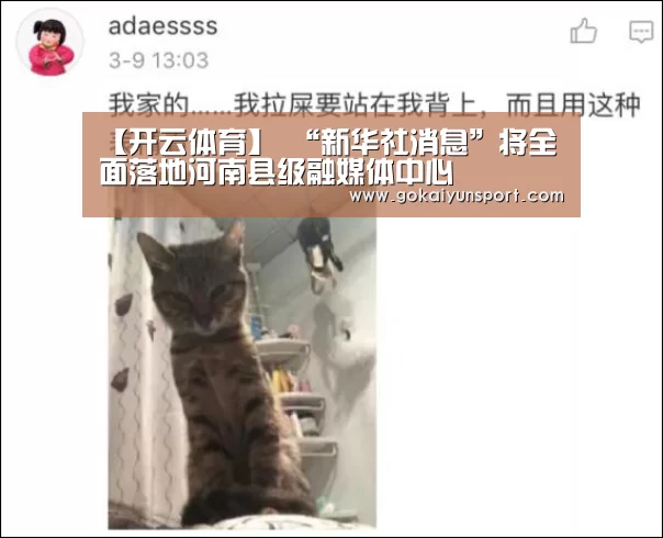 开云平台