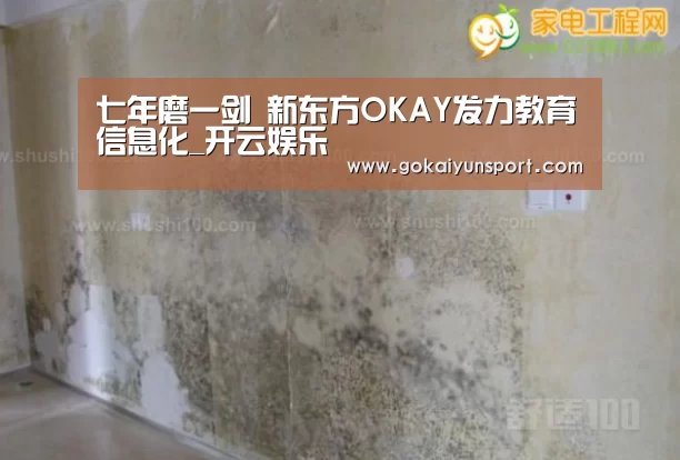 七年磨一剑 新东方OKAY发力教育信息化_开云娱乐(图1) 开云官网