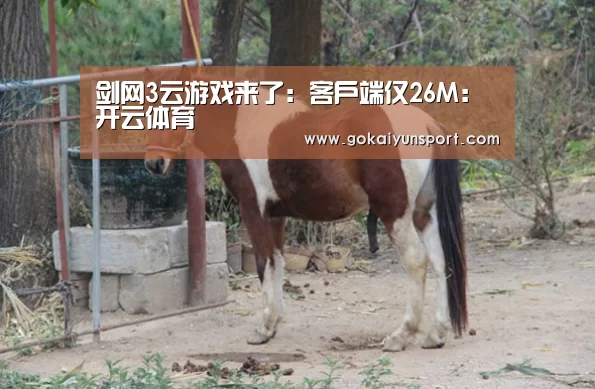 开云体育