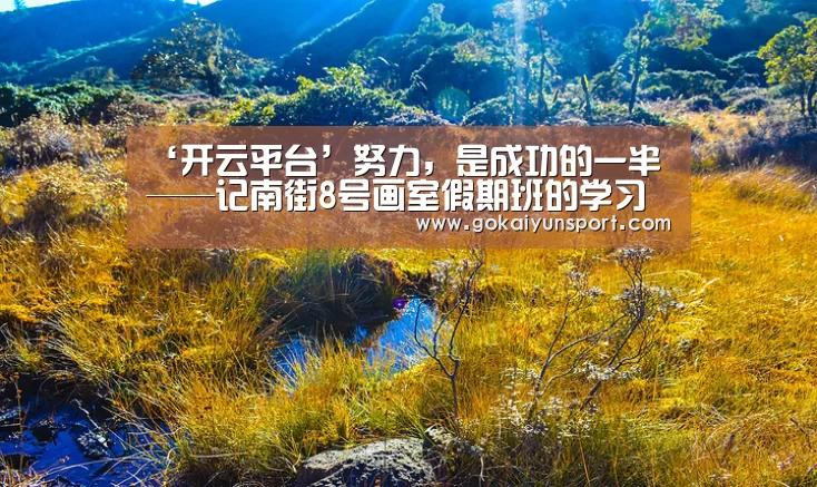 ‘开云平台’努力,是成功的一半 ——记南街8号画室假期班的学习历程(图2) 开云平台