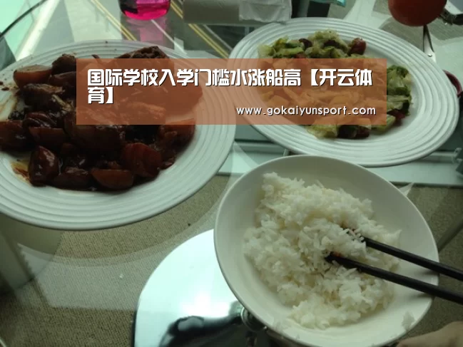 国际学校入学门槛水涨船高【开云体育】(图2) 开云娱乐