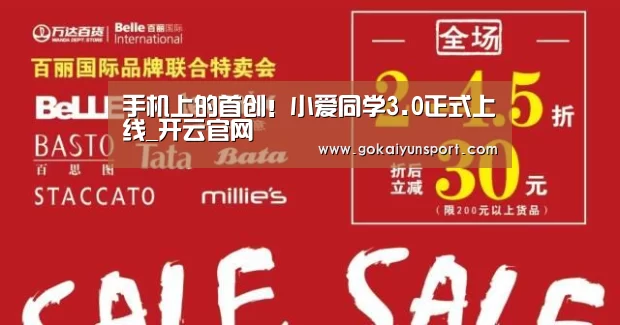 手机上的首创!小爱同学3.0正式上线_开云官网(图3) 开云官网