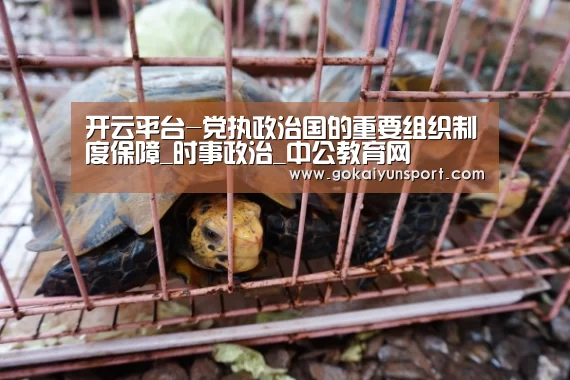 开云平台-党执政治国的重要组织制度保障_时事政治_中公教育网(图2) 开云娱乐