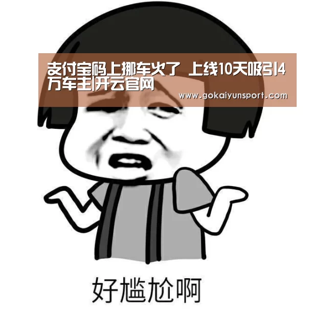 支付宝码上挪车火了 上线10天吸引4万车主|开云官网(图1) 开云官网