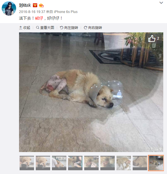 开云娱乐
