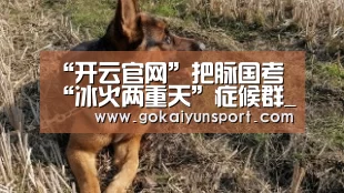 “开云官网”把脉国考“冰火两重天”症候群_时事政治_中公教育网(图1) 开云官网