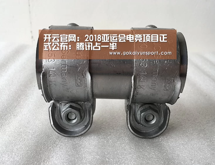 开云官网:2018亚运会电竞项目正式公布:腾讯占一半(图1) 开云体育