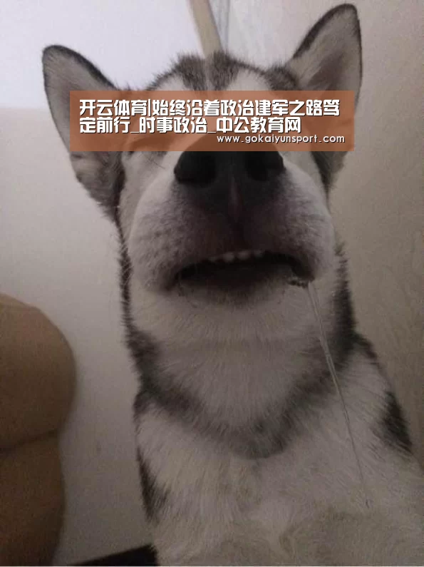 开云体育